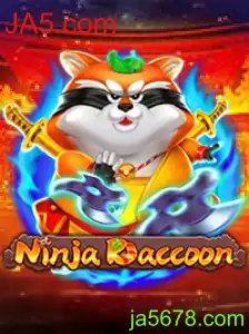 NinjaRaccoon